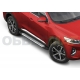 Пороги алюминиевые Rival BMW-Style для Haval F7/F7x 2019-2021